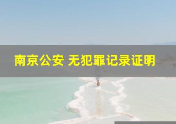 南京公安 无犯罪记录证明